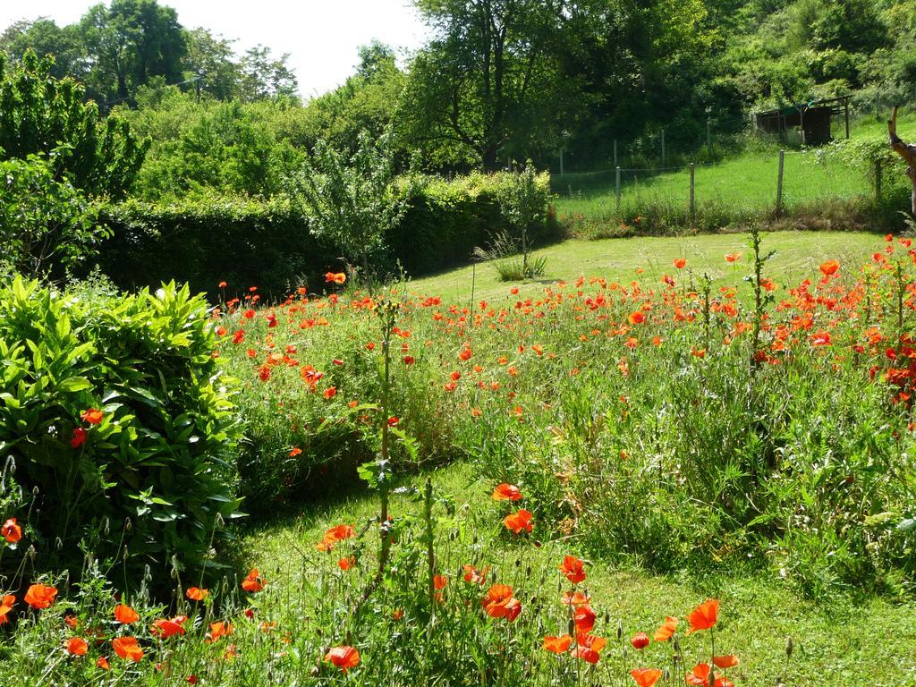 Maison D'Hotes Les Coquelicots Giverny Buitenkant foto